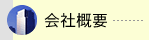 ЊTv